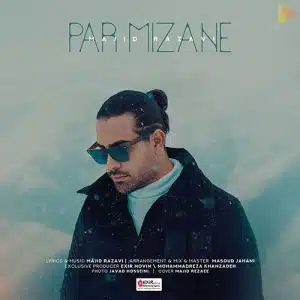 دانلود آهنگ مجید رضوی پر میزنه