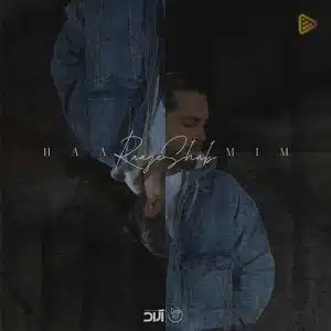 دانلود آهنگ جدید حامیم راز شب