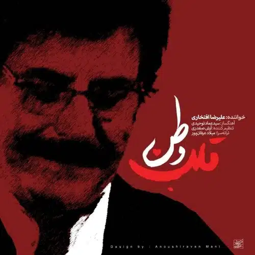دانلود آهنگ جدید علیرضا افتخاری به نام قلب وطن
