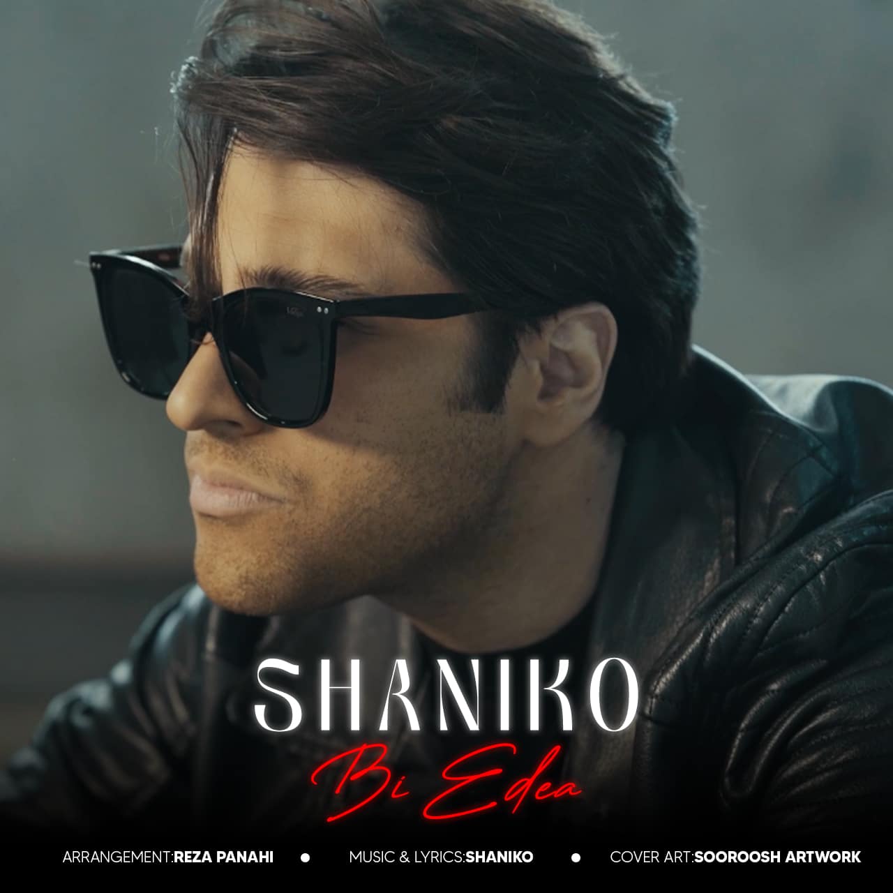 دانلود آهنگ جدید شانیکو به نام بی ادعا