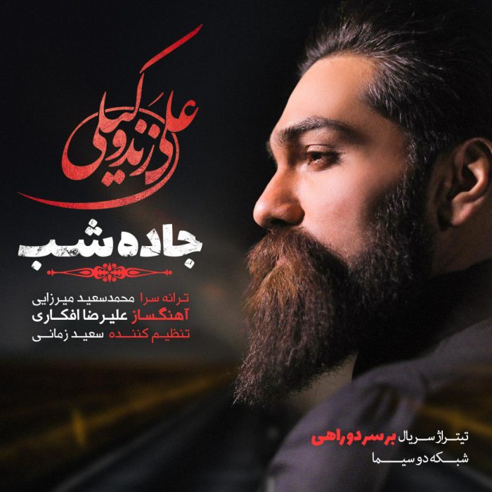 دانلود آهنگ جدید علی زندوکیلی به نام جاده شب