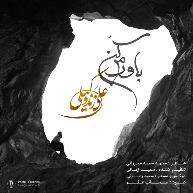 دانلود آهنگ جدید علی زندوکیلی به نام باورم کن