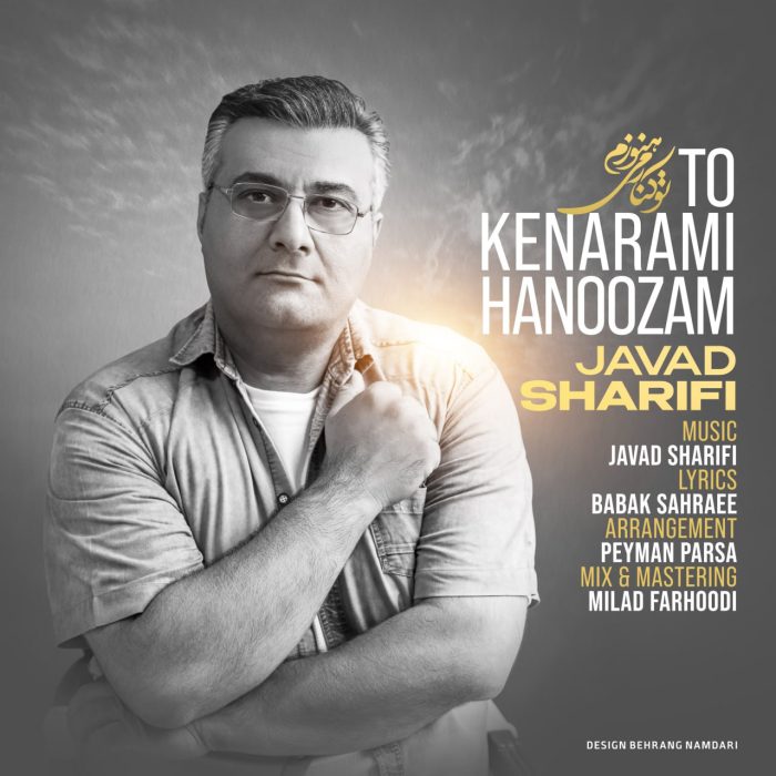 دانلود آهنگ جدید جواد شریفی به نام تو کنارمی هنوزم