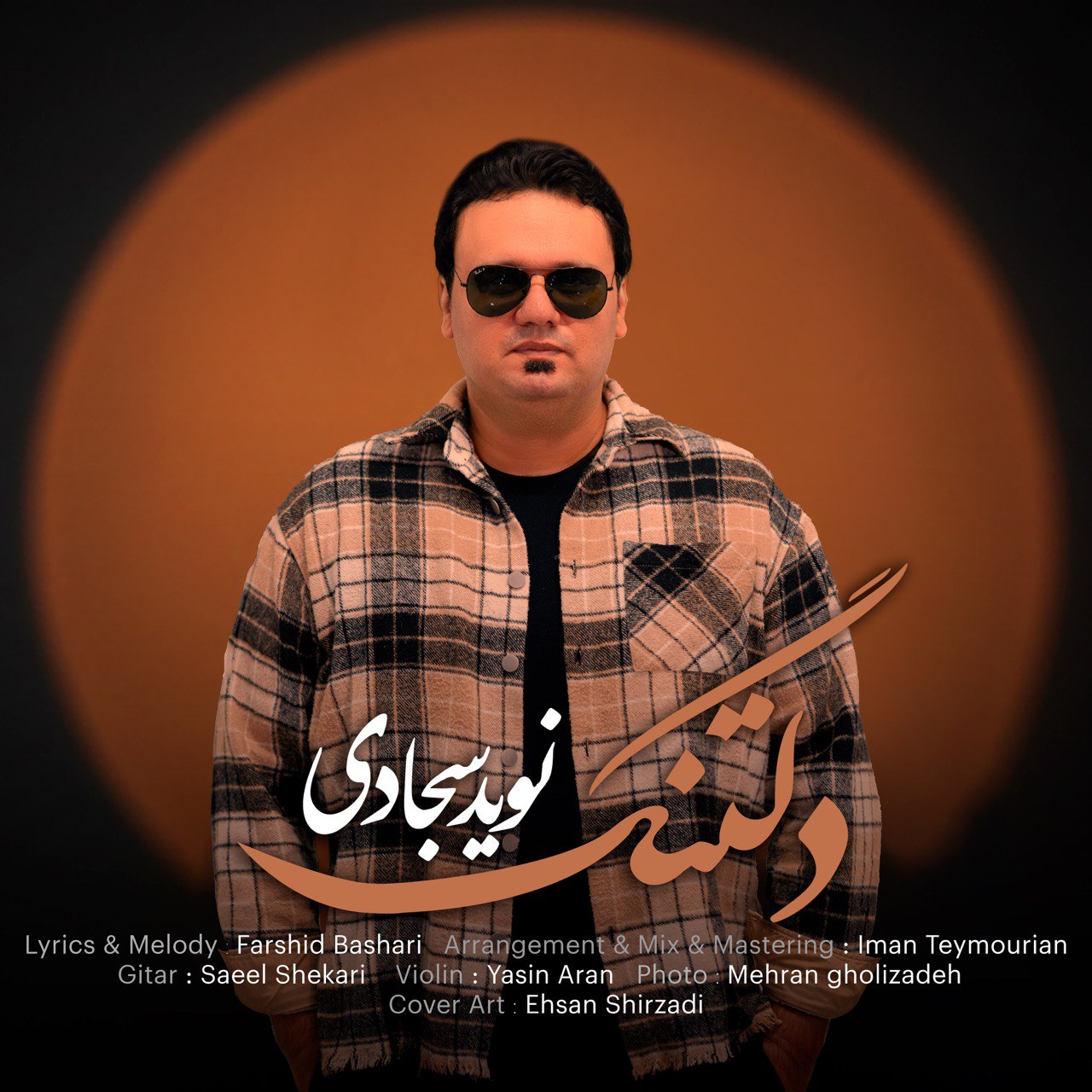 دانلود آهنگ جدید نوید سجادی به نام دلتنگ