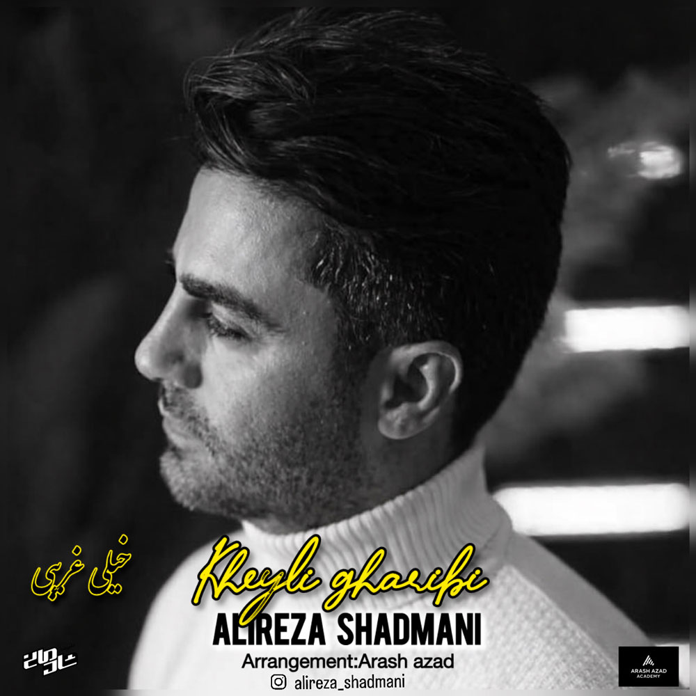 دانلود آهنگ جدید علیرضا شادمانی به نام خیلی غریبی