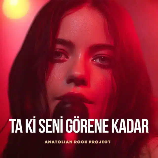 دانلود آهنگ جدید Ankara Echoes به نام Ta Ki Seni Gorene Kadar